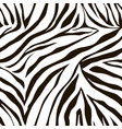 print zebra ornament seamless pattern vector image