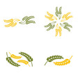wheat oats logo vector image
