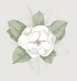 hand drawn magnolia branch vector image vector image