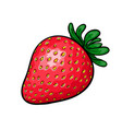 beautiful cartoon red strawberry with black vector image vector image
