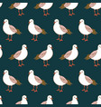 seamless pattern with seagulls vector image vector image