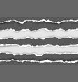 torn paper edge stripes ripped squared vector image