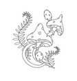 beautiful fly agaric contour vector image vector image