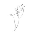 line drawing botanical wreath herbs and florals vector image vector image