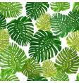 tropical leaves seamless pattern colorful isolated vector image
