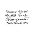 thank you phrases in different languages vector image