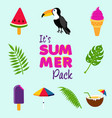 tropical summer beach decoration icon set vector image