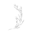 line drawing botanical wreath herbs and florals vector image vector image
