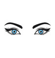 foxy eyes logo blue eyes on white background vector image vector image