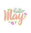 hello may banner spring season greeting lettering vector image