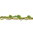liana stem border rainforest green vine vector image vector image