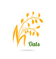 oat ears hand drawn isolated vector image vector image