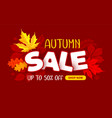 advertising banner about seasonal autumn sale vector image