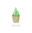 watercolor cactus for decorative and design vector image vector image