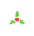 christmas holly berry vector image