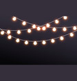 fairy lights on dark background vector image vector image