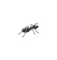 ant logo vector image vector image