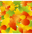 autumn seamless vector image