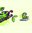 lizard chameleon on the tree branch cartoon vector image vector image