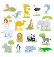 wild animals and sea creatures set with landscape vector image