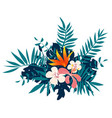 exotic tropical floral bouquet vector image