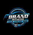 detailing car logo and wash vector image vector image