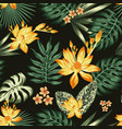 orange lily flowers green leaves seamless black vector image