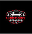 detailing car logo and car wash logo vector image vector image