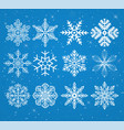 set of snowflakes on a snowy background with stars vector image vector image