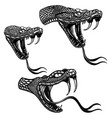 set heads poisonous snake in engraving vector image vector image