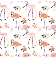 flamingo bird seamless pattern background vector image