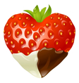 strawberry chocolate vector image