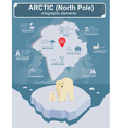 arctic north pole infographics statistical data vector image