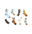 set stylish cotton and woolen socks vector image