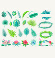tropical leaves and exotic flowers set on white vector image