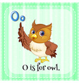 alphabet o is for owl vector image vector image