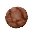 cookie realistic vector image vector image