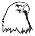 eagle head icon hawk outline logo bird of prey vector image