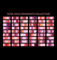 rose gold glossy gradient metal foil texture vector image