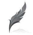 feather vector image vector image