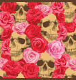 seamless pattern with human skulls and red roses vector image