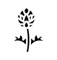 plant artichoke glyph icon vector image vector image