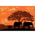 africa vector image vector image