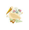 drawing bird pelican vector image vector image
