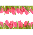 holiday background with pink beautiful flowers vector image