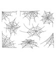 spider web isolated on white background halloween vector image vector image