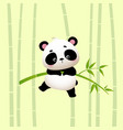cartoon panda hanging on bamboo trees vector image