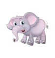 elephant jumbo cartoon vector image vector image