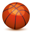 basket ball vector image vector image