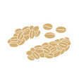 luwak coffee vector image